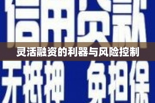 马山灵活融资的利器与风险控制
