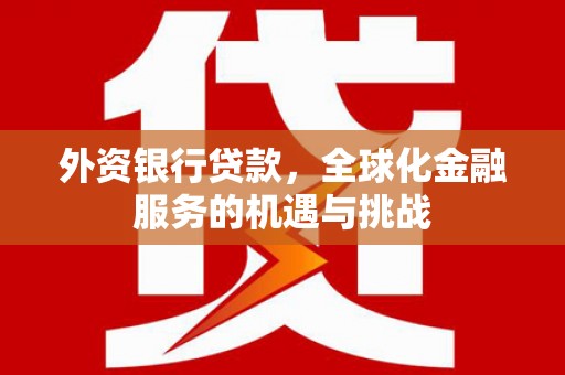 马山外资银行贷款，全球化金融服务的机遇与挑战
