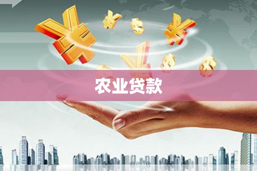 马山农业贷款