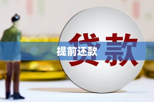 马山提前还款