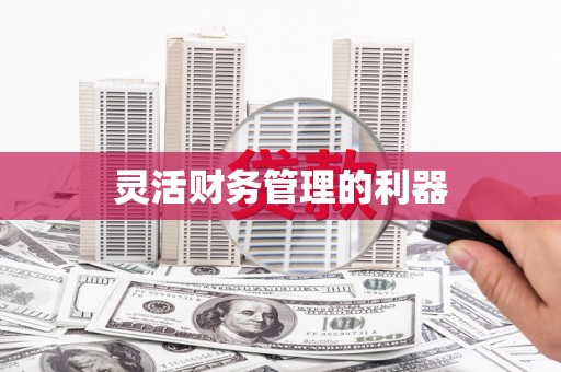 马山灵活财务管理的利器