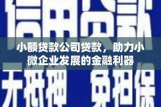 马山小额贷款公司贷款，助力小微企业发展的金融利器