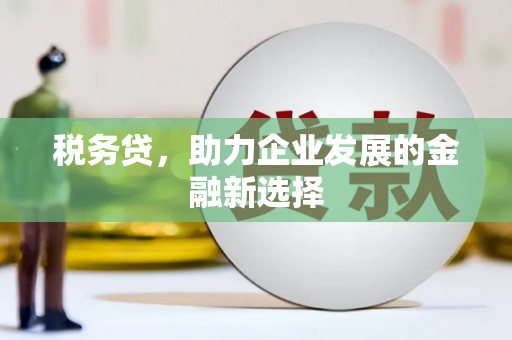 马山税务贷，助力企业发展的金融新选择