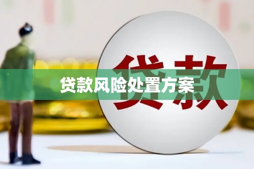马山贷款风险处置方案