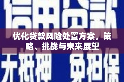 马山优化贷款风险处置方案，策略、挑战与未来展望