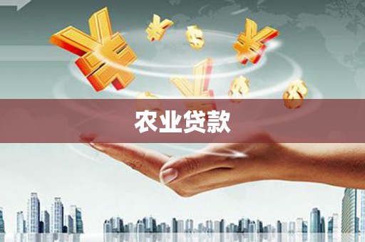 马山农业贷款