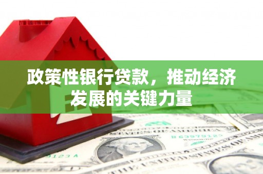 马山政策性银行贷款，推动经济发展的关键力量