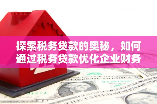 马山探索税务贷款的奥秘，如何通过税务贷款优化企业财务