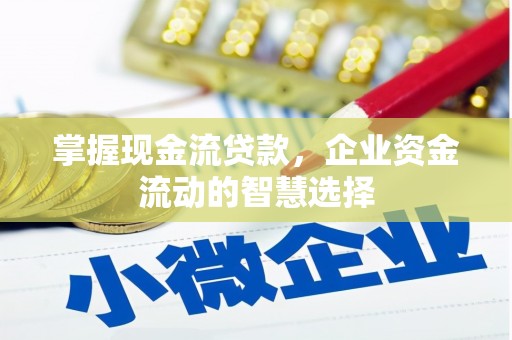 马山掌握现金流贷款，企业资金流动的智慧选择