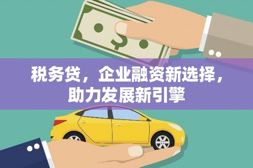 马山税务贷，企业融资新选择，助力发展新引擎