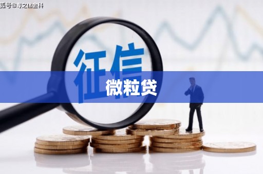 马山微粒贷