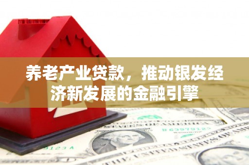 马山养老产业贷款，推动银发经济新发展的金融引擎