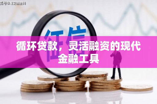马山循环贷款，灵活融资的现代金融工具