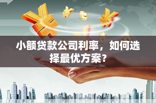 马山小额贷款公司利率，如何选择最优方案？