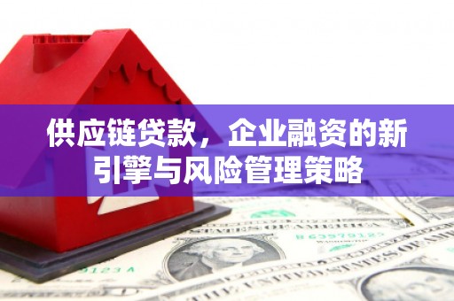马山供应链贷款，企业融资的新引擎与风险管理策略