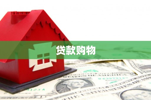 马山贷款购物