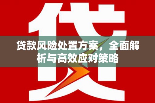 马山贷款风险处置方案，全面解析与高效应对策略