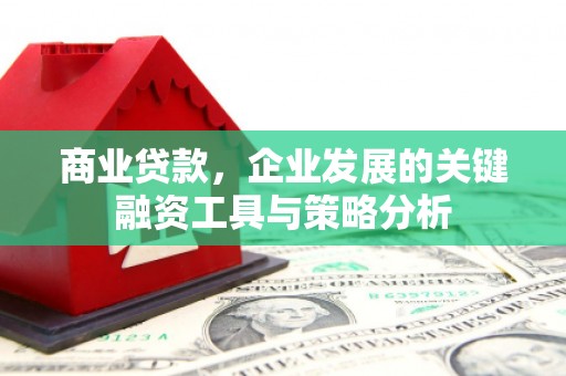 马山商业贷款，企业发展的关键融资工具与策略分析