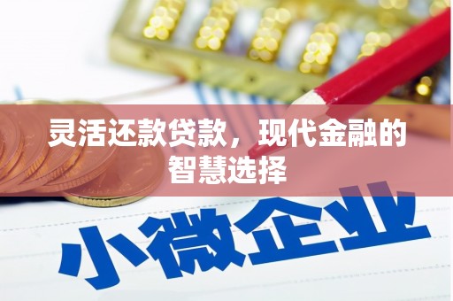 马山灵活还款贷款，现代金融的智慧选择