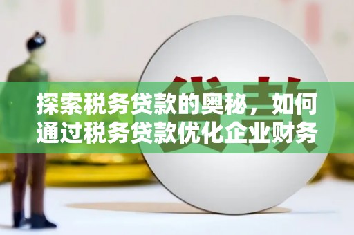 马山探索税务贷款的奥秘，如何通过税务贷款优化企业财务