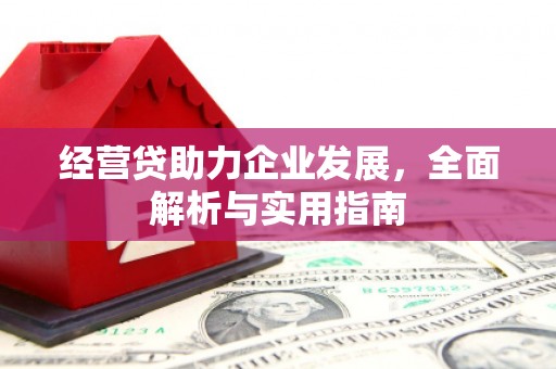 马山经营贷助力企业发展，全面解析与实用指南