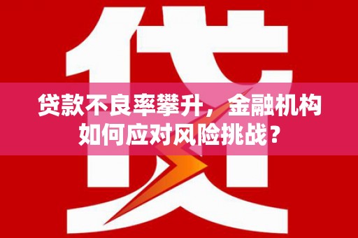 马山贷款不良率攀升，金融机构如何应对风险挑战？