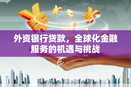 马山外资银行贷款，全球化金融服务的机遇与挑战