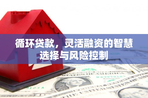 马山循环贷款，灵活融资的智慧选择与风险控制