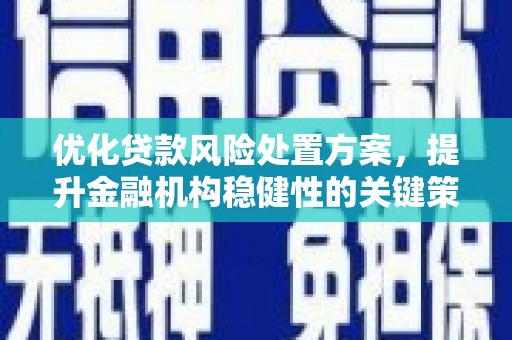 马山优化贷款风险处置方案，提升金融机构稳健性的关键策略