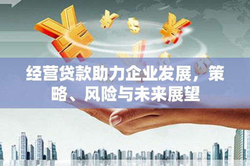 马山经营贷款助力企业发展，策略、风险与未来展望