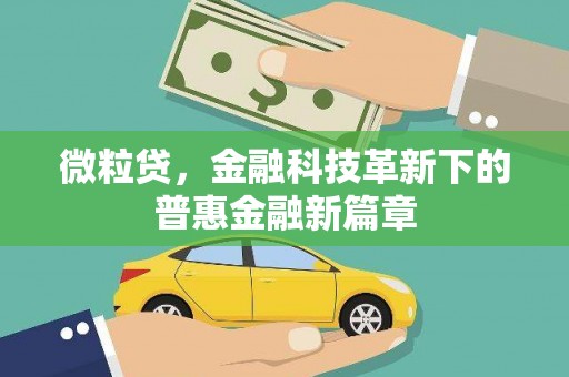 马山微粒贷，金融科技革新下的普惠金融新篇章