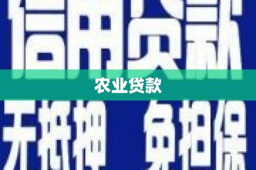 马山农业贷款