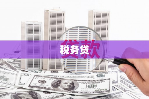 马山税务贷