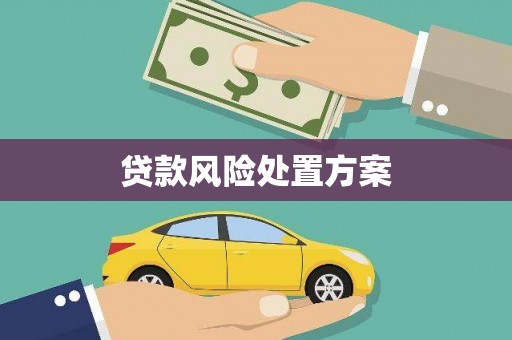 马山贷款风险处置方案