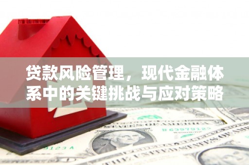 马山贷款风险管理，现代金融体系中的关键挑战与应对策略