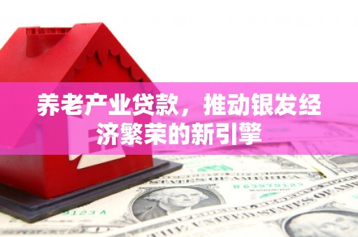 马山养老产业贷款，推动银发经济繁荣的新引擎
