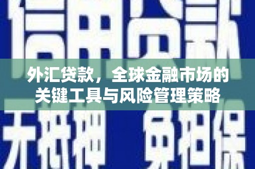 马山外汇贷款，全球金融市场的关键工具与风险管理策略