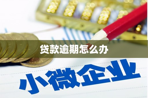 马山贷款逾期怎么办