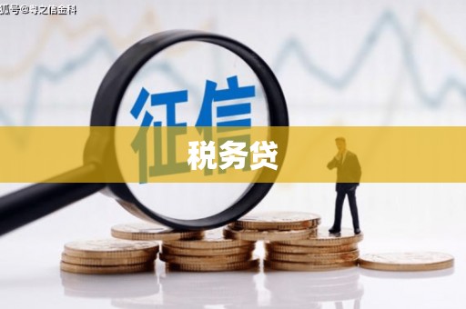 马山税务贷