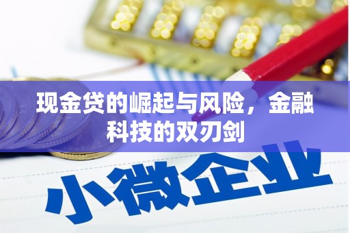 马山现金贷的崛起与风险，金融科技的双刃剑