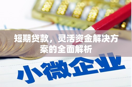 马山短期贷款，灵活资金解决方案的全面解析