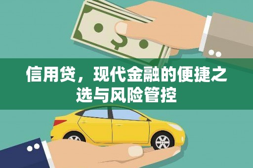 马山信用贷，现代金融的便捷之选与风险管控