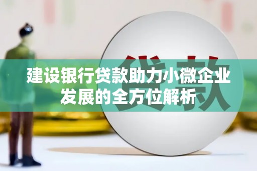 马山建设银行贷款助力小微企业发展的全方位解析