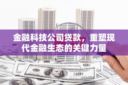 马山金融科技公司贷款，重塑现代金融生态的关键力量