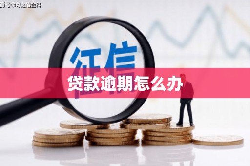 马山贷款逾期怎么办
