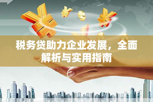 马山税务贷助力企业发展，全面解析与实用指南