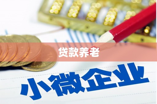 马山贷款养老