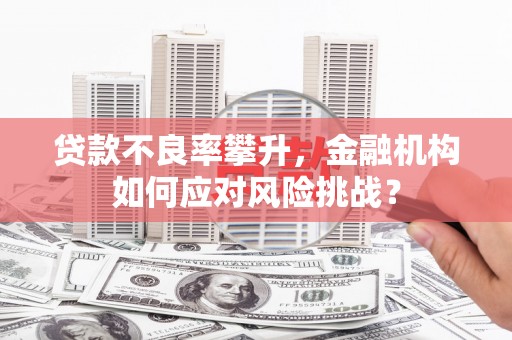 马山贷款不良率攀升，金融机构如何应对风险挑战？