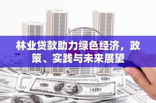 马山林业贷款助力绿色经济，政策、实践与未来展望