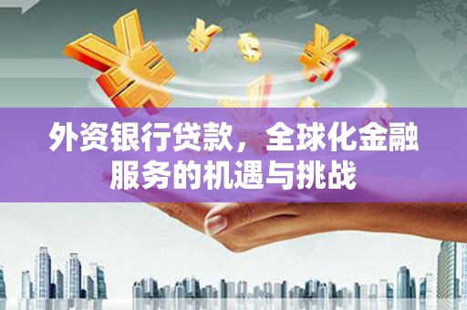 马山外资银行贷款，全球化金融服务的机遇与挑战